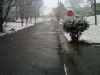 2010-02-12-11-35-55