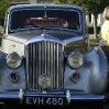 bentley.jpg