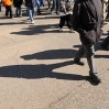 mlkmarch7_1.jpg