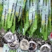 Mercedes Marathon medals