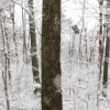 Ruffner030808_0025_1.jpg