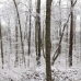 Ruffner030808_0035_1.jpg