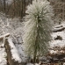 Ruffner030808_0052_1.jpg