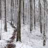 Ruffner030808_0058_1.jpg