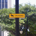 Moose crossing sign in downtown Birmingham